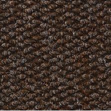 Tapis d'entrée 136 Polynib