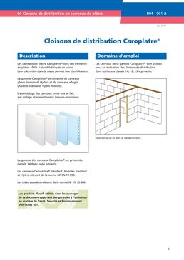 Carreaux de plâtre pleins de 10 cm d'épaisseur | Caroplatre standard