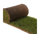 Gazon naturel en rouleau | COVER GARDEN