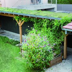 Caissette végétalisée pré-cultivée pour petites toitures | Toundra'Box Particuliers