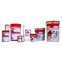 Revêtement pour étanchéité de toiture terrasse non circulable à pente 0 | EVERFAST ÉLASTIPROOF