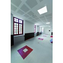 Plafond acoustique en plaques de plâtre perforées captant les formaldéhydes | Creabel