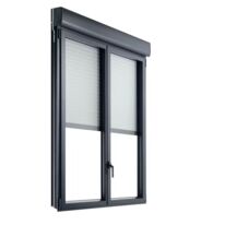 Fenêtre Graphique Aluminium sur Mesure Volet Intégré Personnalisable | LAPEYRE SERVICES