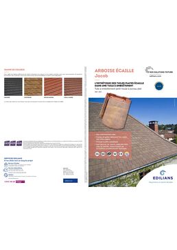 Tuile plate en terre cuite | ARBOISE ÉCAILLE Jacob