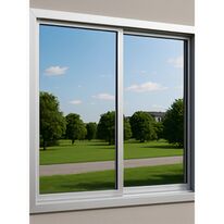 Argent 20 - 100 Microns | ITD