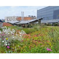 Toiture biosolaire, végétalisation et photovoltaïque | HELIOVERT