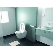 WC lavant séchant suspendu | Saniwash