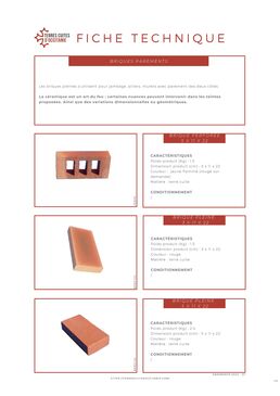 Briques pleines en terre cuite | CAYROUX 