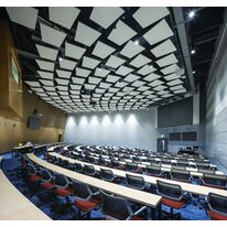 Système d'élément pour plafond flottant acoustique sans cadre | Mineral Sonic Element