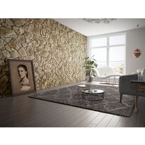 Parement pierre en béton | Vénus 810 