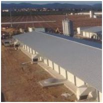 Panneau métallique pour les toitures des élevages zootechniques | AGROROOF G3