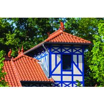 Tuile petit moule onde douce à glissement pour rénovation patrimoniale | Vieille panne 451 