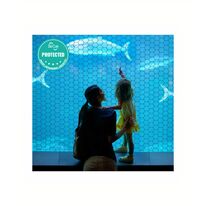 Film Antimicrobien | SolarGard 4Mil AM