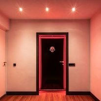 Porte acoustique battante | RS9