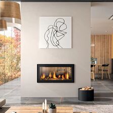 Insert à bois acier double face 12,5 kW | CLOUD 100 R DF HORIZON 