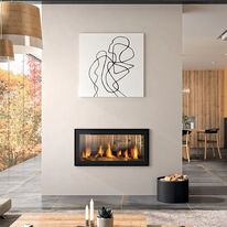 Insert à bois acier double face 12,5 kW | CLOUD 100 R DF HORIZON 