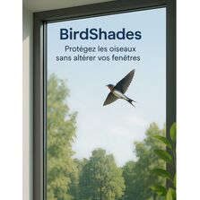 Film anti collisions d’oiseaux | ITD