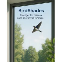 Film anti collisions d’oiseaux | ITD