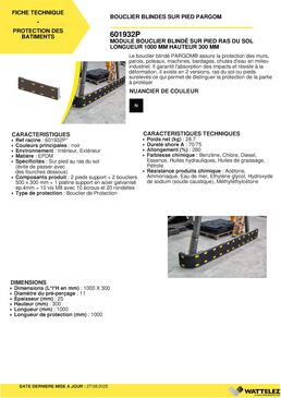 Module bouclier blindé RAS du sol | PARGOM H.300 mm L.1 000 mm 