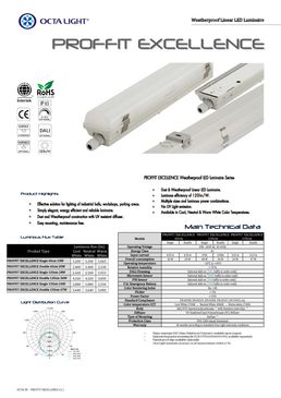 Luminaire économique pour des applications industrielles | PROFIT EXCELLENCE 