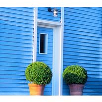 Lasure opaque en phase aqueuse en 60 teintes | Toll-Azur Opaque