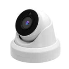 Dôme anti vandale intérieure ou extérieure | SVEYE- IDV65Z 