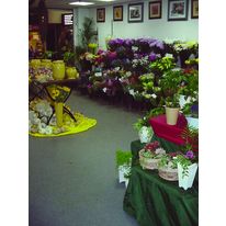 Revêtement de sol à base de graviers | Tapis-de-pierre