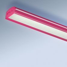 Rampe d'éclairage PLL Tubes LEDS