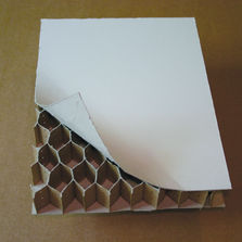 Coffrage carton alvéolaire pour joints dilatation | Ecopan Drainage Murs