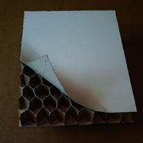 Coffrage carton alvéolaire pour joints dilatation | Ecopan Drainage Murs