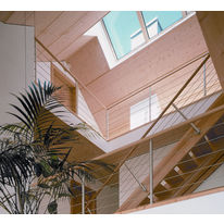 Panneau porteur en contrecollé de bois massif | Membrures