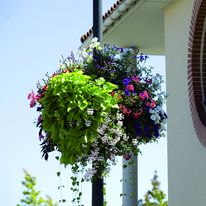 Jardinière suspension pour candélabre | Jiflor IDEM