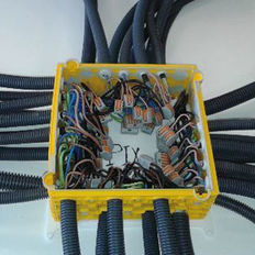 Pieuvre électrique pré-câblée pour installation électrique évolutive en domotique | Plx