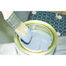 Gel de traitement aux propriétés insecticides et fongicides | Axil Gel Cut