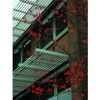 Brise-soleil fixe en aluminium autoportant jusqu'à 1,50 m | Sunclips