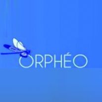 Laque à base d'alkydes d'huiles de soja et de bois | Orphéo 428/429