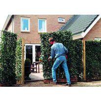 Haie prévégétalisée prête à planter pour écran de séparation | Cloture Vegetal i.D.