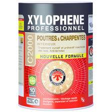 Insecticide pour bois de charpente et d'ossature | Professionnel C2000