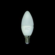 Ampoule LED à teinte chaude et allumage instantané | Business Max PRO