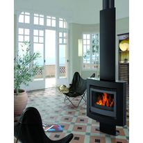 Poêle cheminée à bois et corps acier | Draerihn