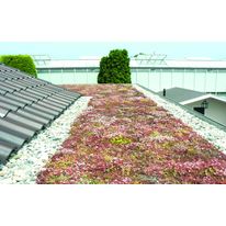 Système de végétalisation extensive léger pour toitures inaccessibles | Urbanscape GreenRoof