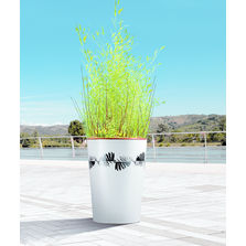 Jardinière en acier avec bac en Pehd | Marguerite