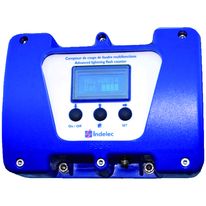 Compteur de coups de foudre multifonctions avec report à distance | P8014