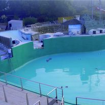 Résine polyuréthane sans solvant pour étanchéité et cuvelage | ID Pulvé FA 5 ACS