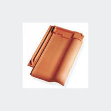 Tuiles grand moule à emboîtement | Alegra de Bisch