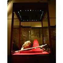 Éclairage par fibres optiques en barre lumineuse ou points pour vitrine ou présentoir | Slimlightbars Endfittings