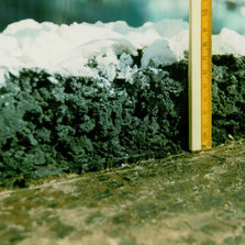 Peinture intumescente pour supports métalliques | Pyroplast Steel-D