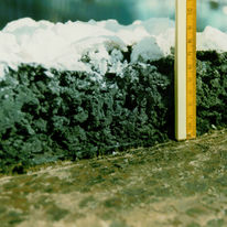 Peinture intumescente pour supports métalliques | Pyroplast Steel-D