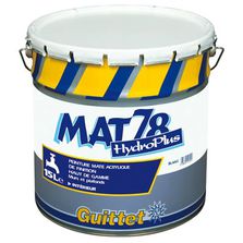 Peinture acrylique mate