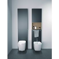 Bati-support avec habillage à caisson de rangement pour WC et bidets | Monolith